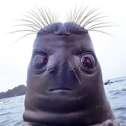 odichaly