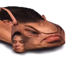 ArridSergeYiihoh