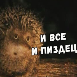 VsyoProydet