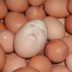 chuchabomba