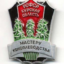 K3T3