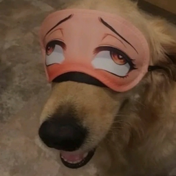 zzBAKLAJANzz