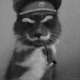   StalinCat