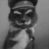 StalinCat