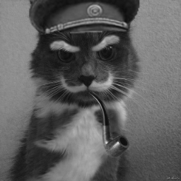 StalinCat