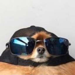 Yungblud