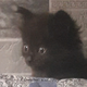 ������ ������������ MydadYrgin