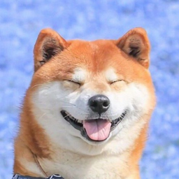 CH3RRY7
