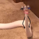 ����� ����� ������ ���� �����������