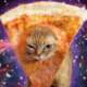������ ������������ deymonrus