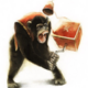 ������ ������������ madgefik