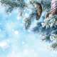 Аватар пользователя winter25