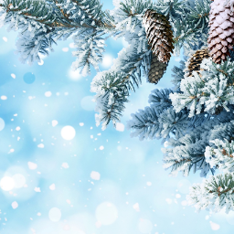 winter25
