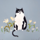 ������ ������������ meowguard