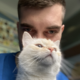 ������ ������������ PurPurCat96