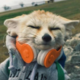 Аватар пользователя Taywox