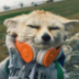 Taywox