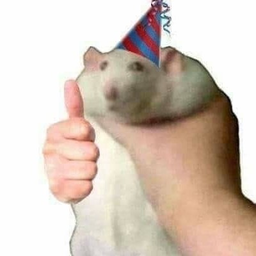 lapshultc