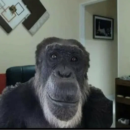 JonySlayer
