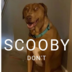 ScoobyMist