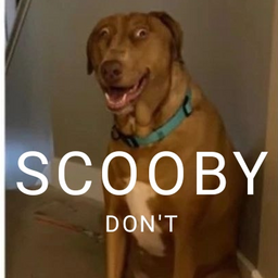 ScoobyMist