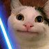 Sterak