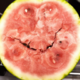 ������ ������������ Mr.Melon