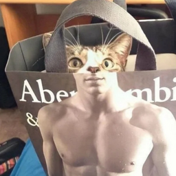 Abembie