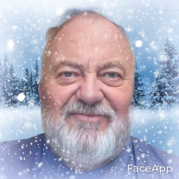 FreeSerbin