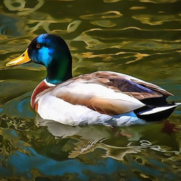SunlightDuck