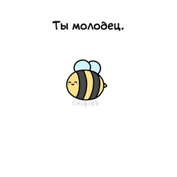 TikhayaNoch