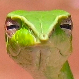Hmja