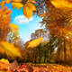 ������ ������������ evilseptember86