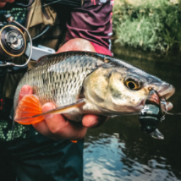 GrishinFishing