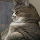 ������ ������������ RainbovvCat