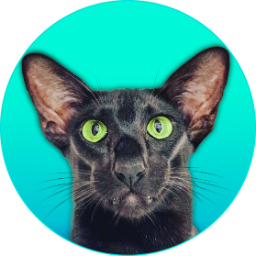 Rexton.Cat
