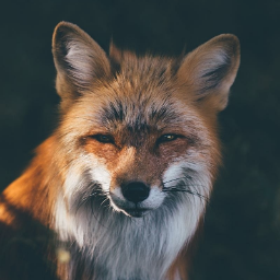 pikabushnik2021