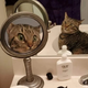 ������ ������������ ProstoMast