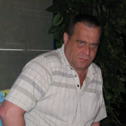 Borovih