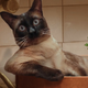 ������ ������������ babajka4me