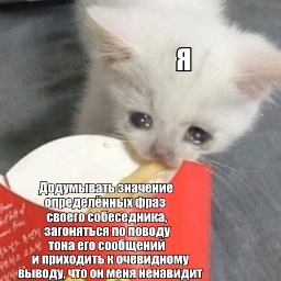 Sh1tl3r