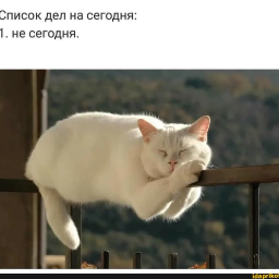 StasyB