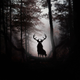 ������ ������������ GloomStag