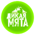 mintmusicfest