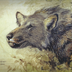 borophagus