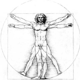 Homium