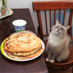 SourCreamCat
