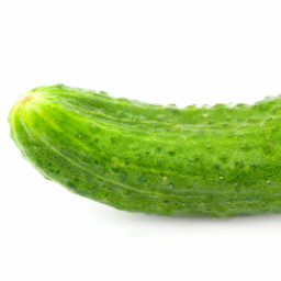 FastOgurez