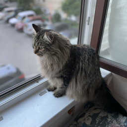 MissmiaK