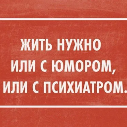 Vlad.sever